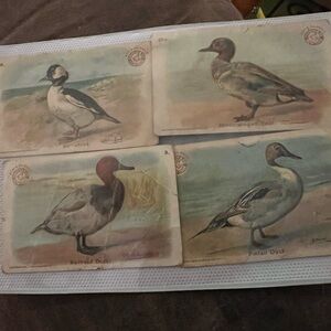 Vintage Duck Postcard Set